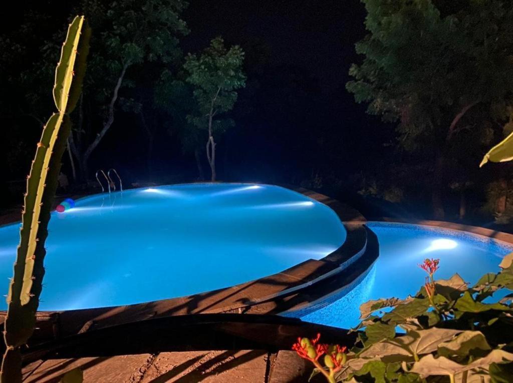 Amaltas Villa Udaipur Esterno foto
